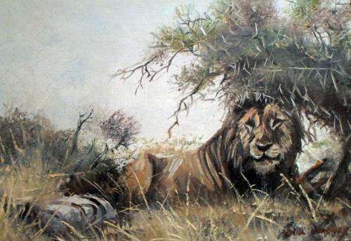 Errol Norbury - Magnificent Lion - A stunner at a low price!! Act now!